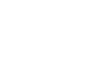 devSEAL Logo